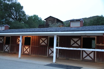 Enlarge photo 91
