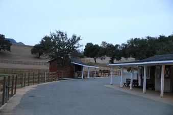 Enlarge photo 92