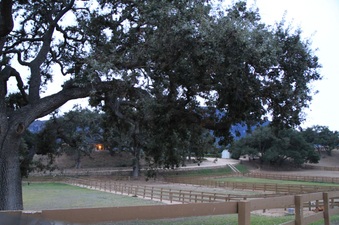 Enlarge photo 93
