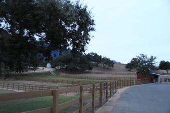 Enlarge photo 94