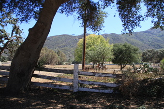 Enlarge photo 2