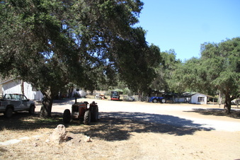 Enlarge photo 6