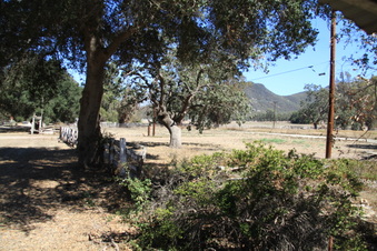 Enlarge photo 7