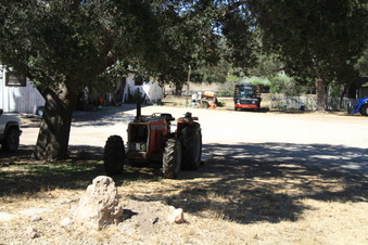 Enlarge photo 21