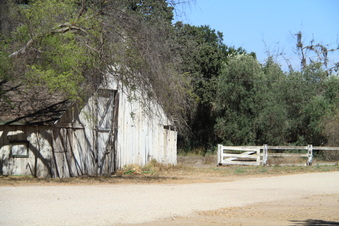 Enlarge photo 23