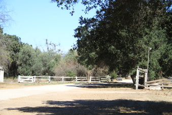 Enlarge photo 24