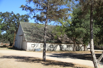 Enlarge photo 30