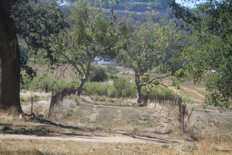 Enlarge photo 46
