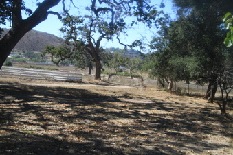 Enlarge photo 47