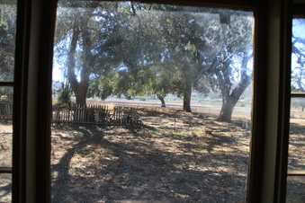 Enlarge photo 48