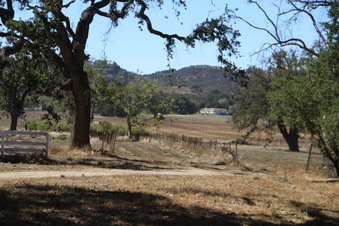 Enlarge photo 67
