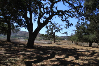 Enlarge photo 68
