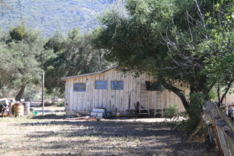Enlarge photo 72