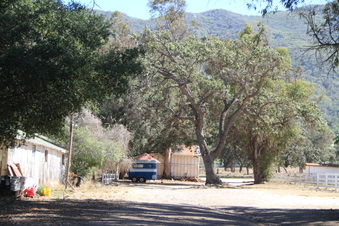Enlarge photo 75