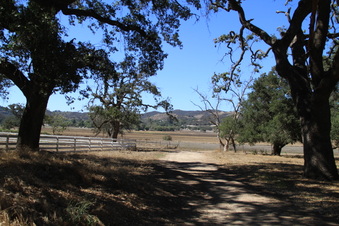Enlarge photo 76