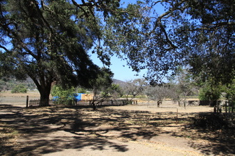 Enlarge photo 77
