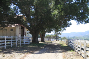 Enlarge photo 80