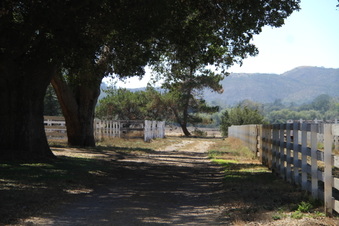 Enlarge photo 81