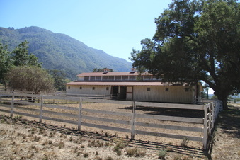 Enlarge photo 82