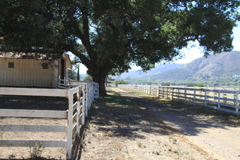 Enlarge photo 83