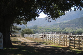Enlarge photo 84