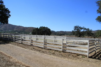 Enlarge photo 85