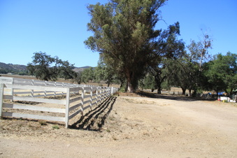 Enlarge photo 86