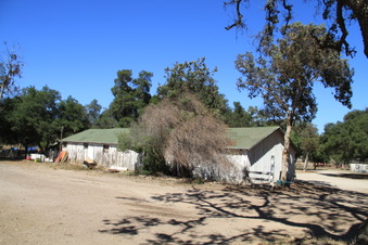 Enlarge photo 87
