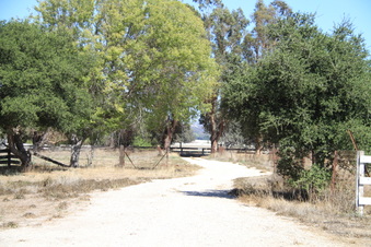 Enlarge photo 92