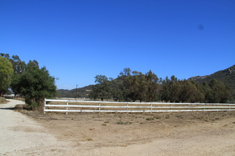 Enlarge photo 93
