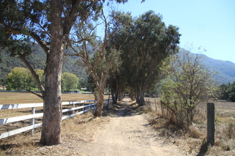 Enlarge photo 94