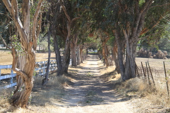 Enlarge photo 95