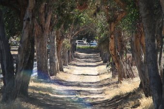Enlarge photo 96