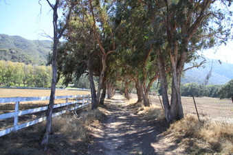Enlarge photo 97