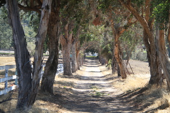 Enlarge photo 98