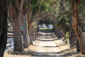 Enlarge photo 99