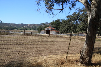 Enlarge photo 102