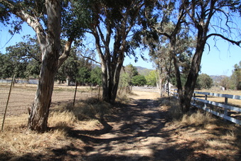 Enlarge photo 103