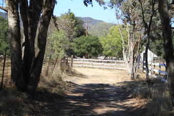 Enlarge photo 104