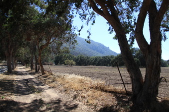 Enlarge photo 105