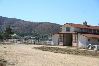 Enlarge photo 107
