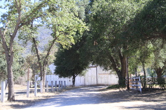 Enlarge photo 109