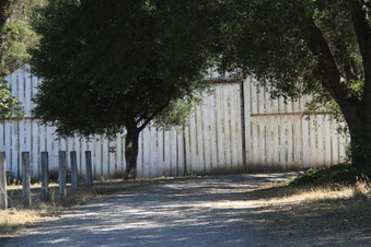 Enlarge photo 110