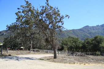 Enlarge photo 111