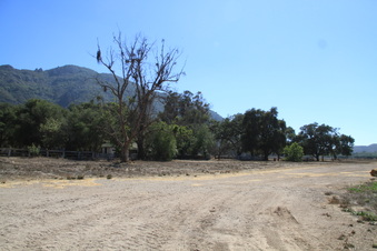 Enlarge photo 112