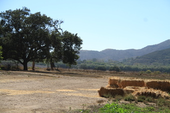 Enlarge photo 113