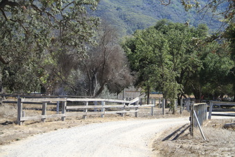 Enlarge photo 114