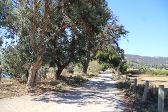 Enlarge photo 115