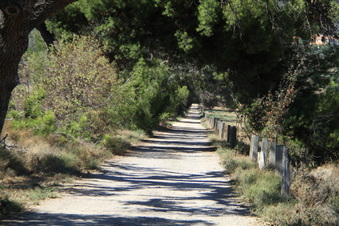 Enlarge photo 116