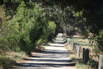 Enlarge photo 117